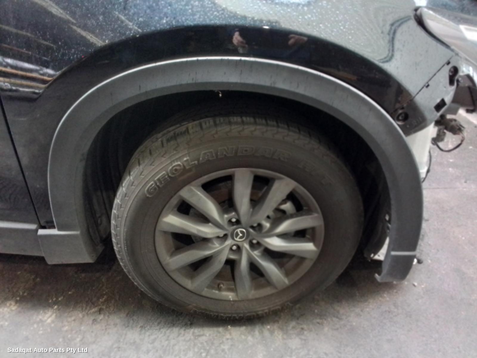 Mazda Cx9 Courtesy Light