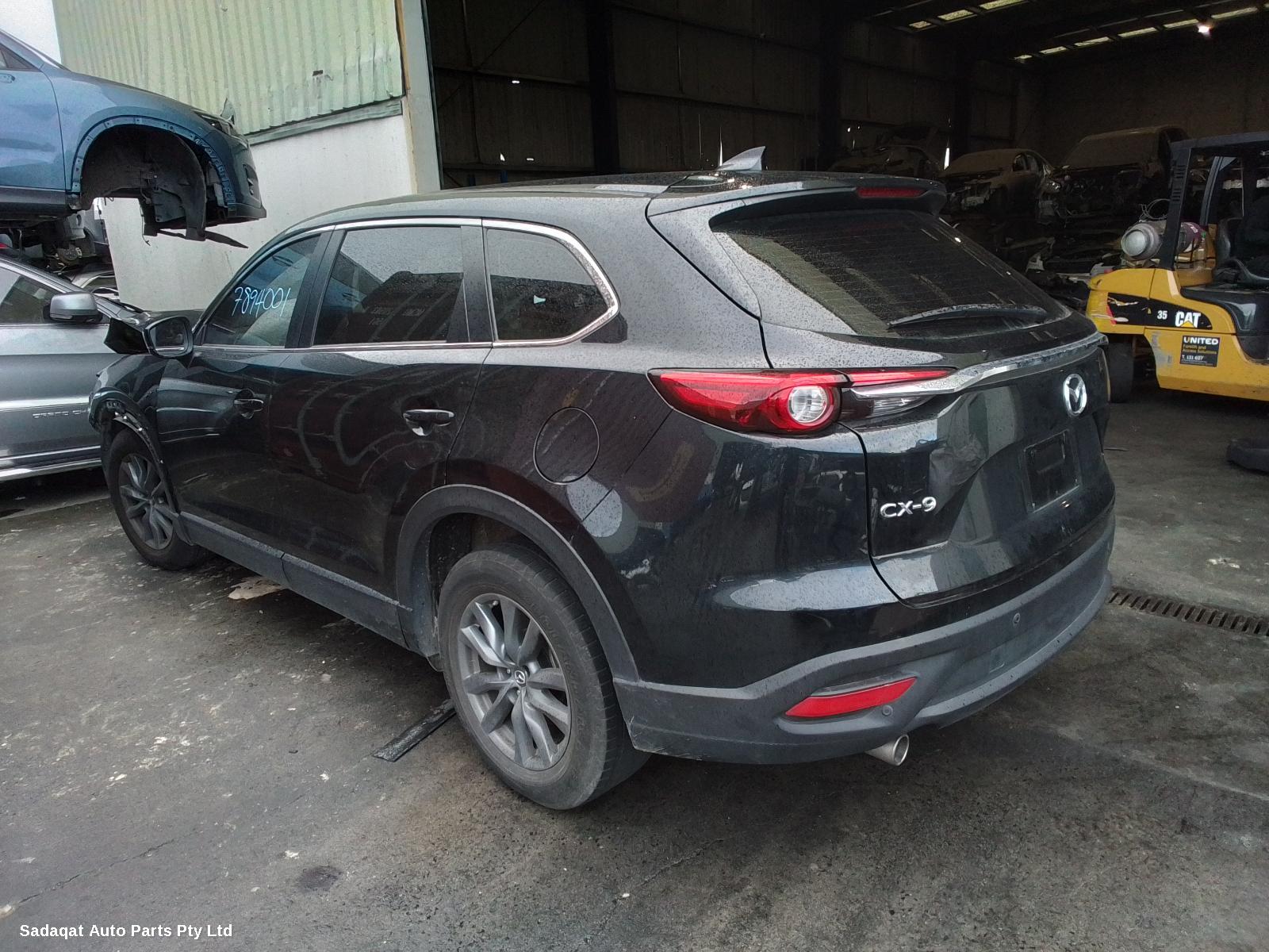 Mazda Cx9 Courtesy Light
