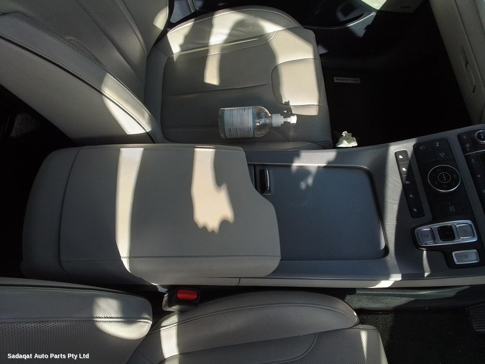 Hyundai Palisade Headrest