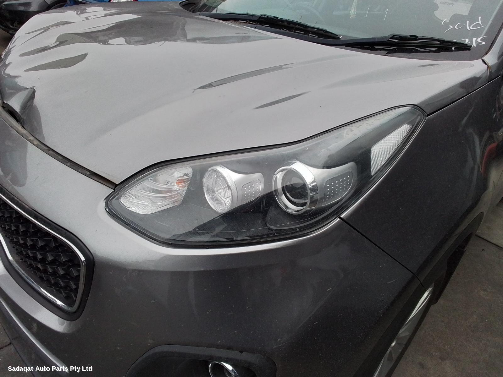 Kia Sportage Courtesy Light