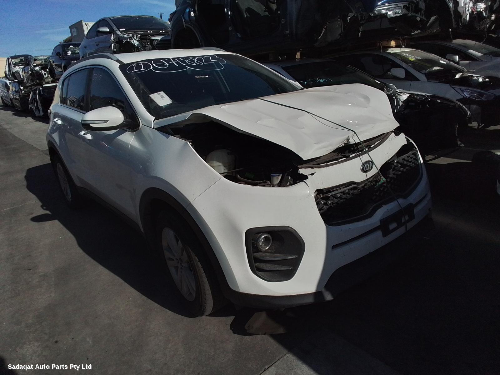 Kia Sportage Rear Diff Assembly