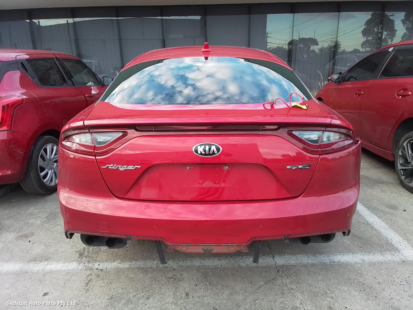 Kia Stinger Left Front Door Window