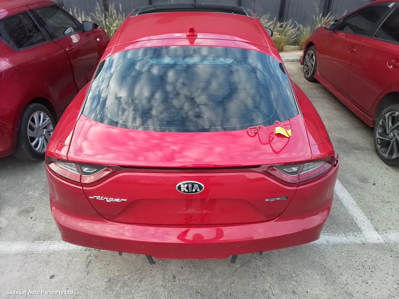 Kia Stinger Left Front Door Window