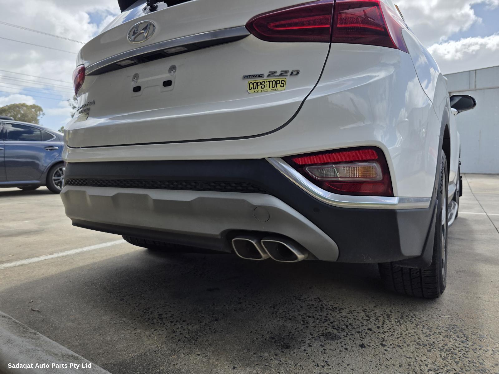 Hyundai Santa Fe Right Rear Strut