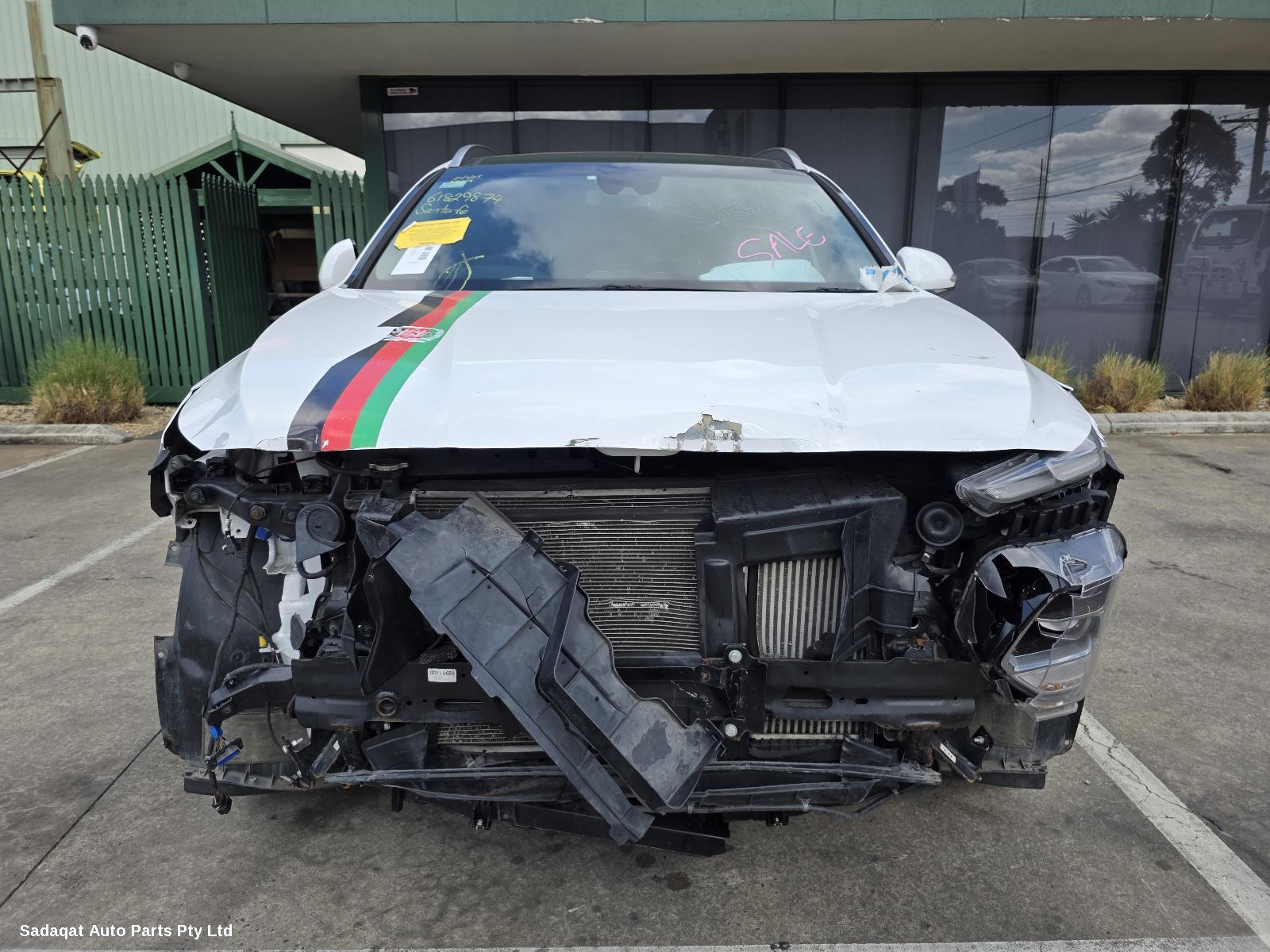 Hyundai Santa Fe Right Rear Strut