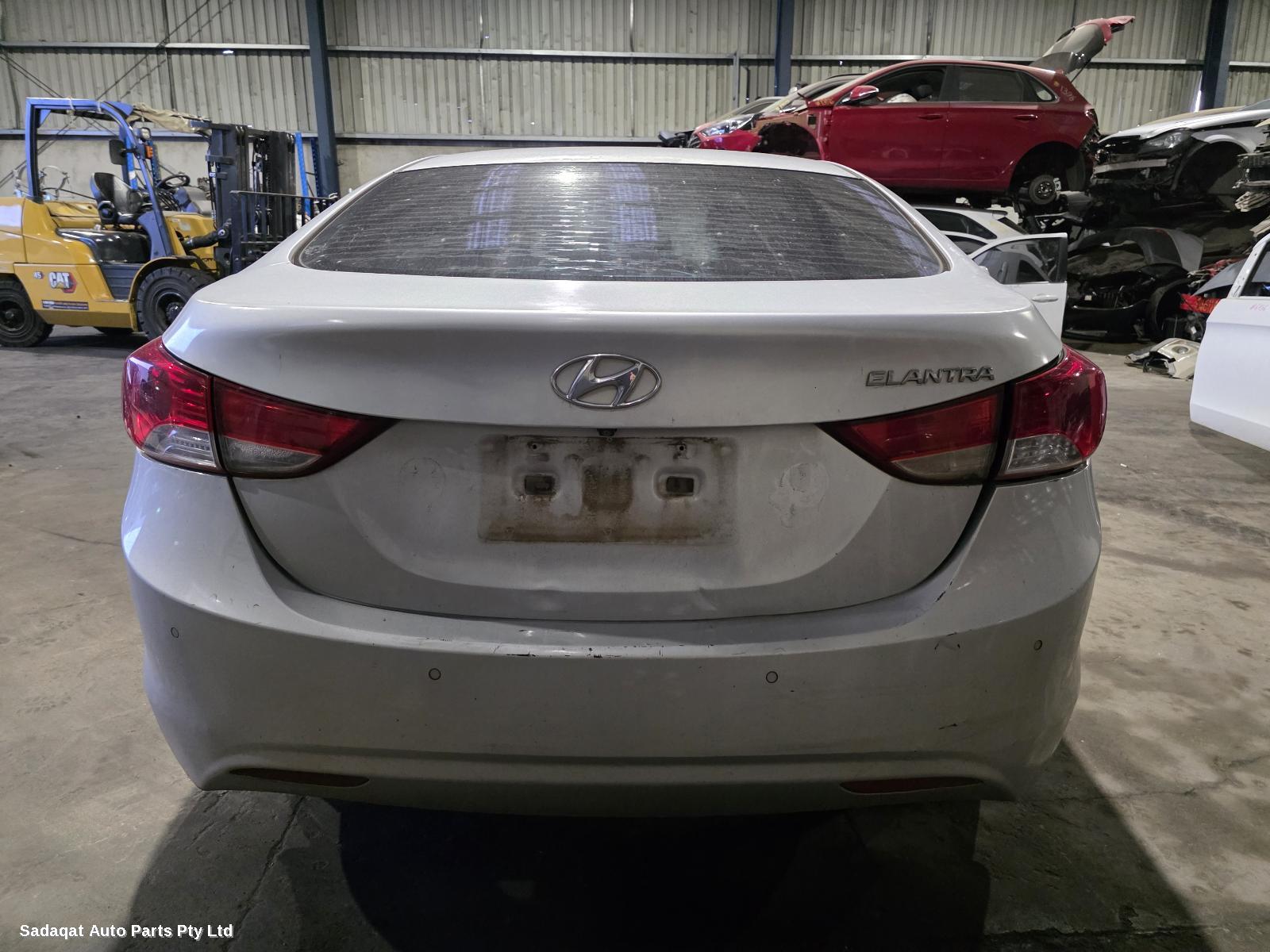 Hyundai Elantra Left Guard