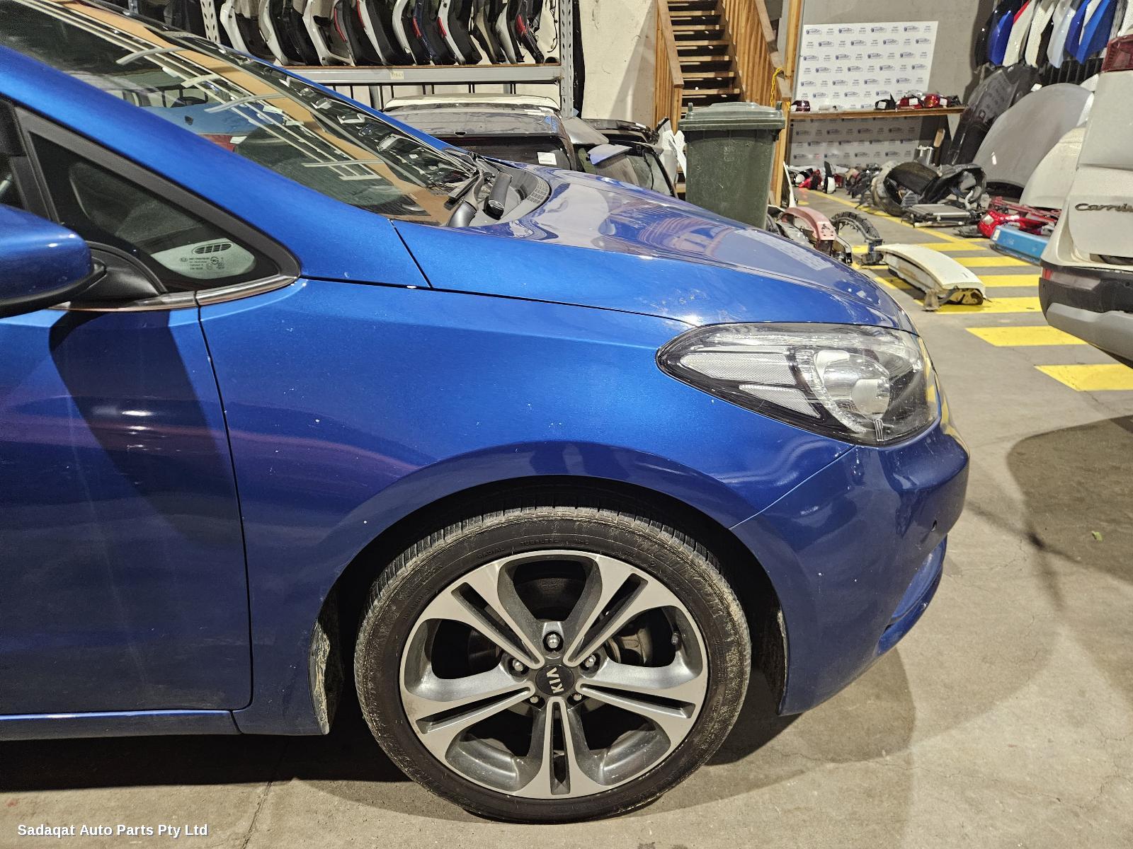 Kia Cerato Hatch Strut