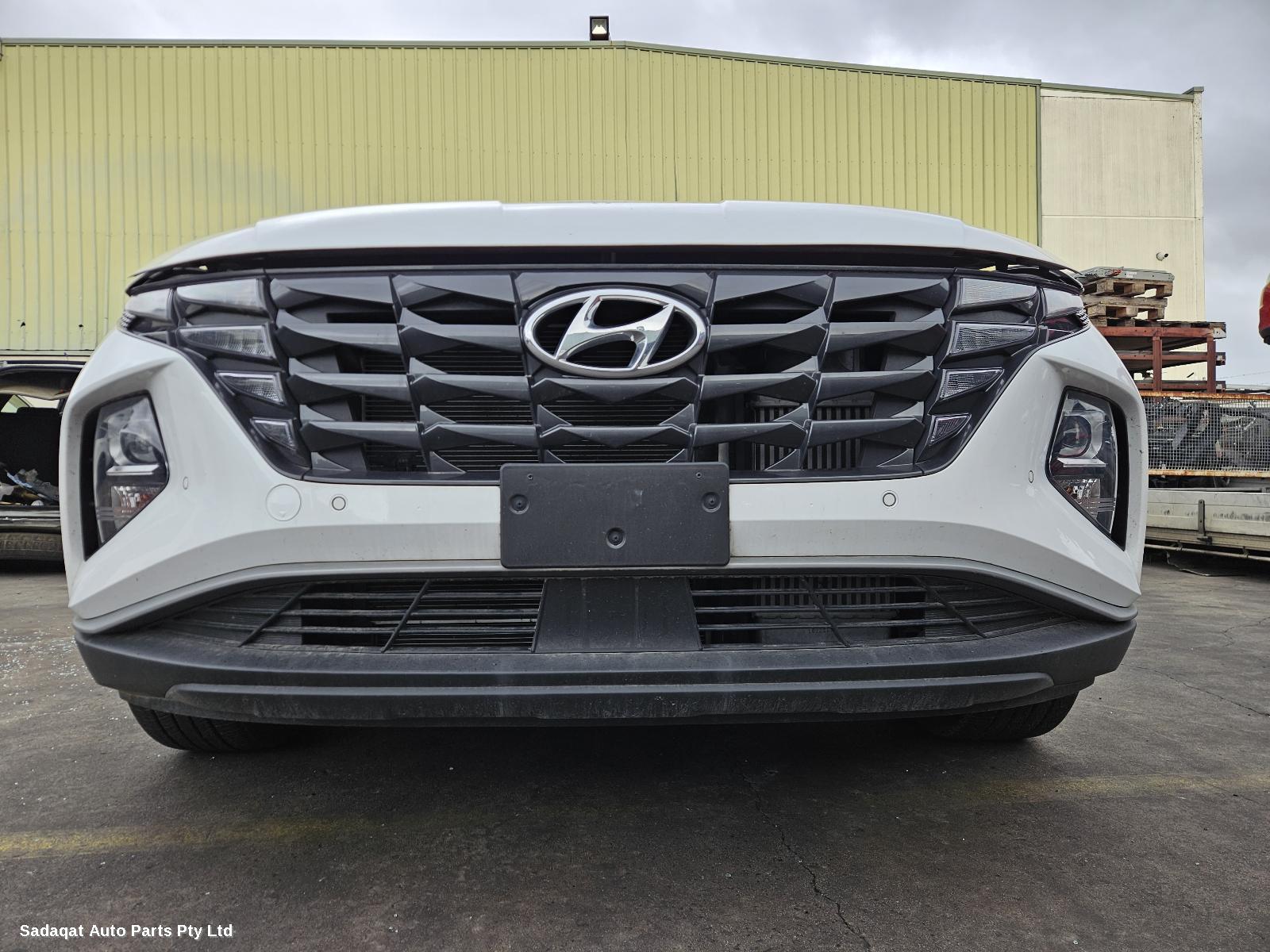 Hyundai Tucson Courtesy Light