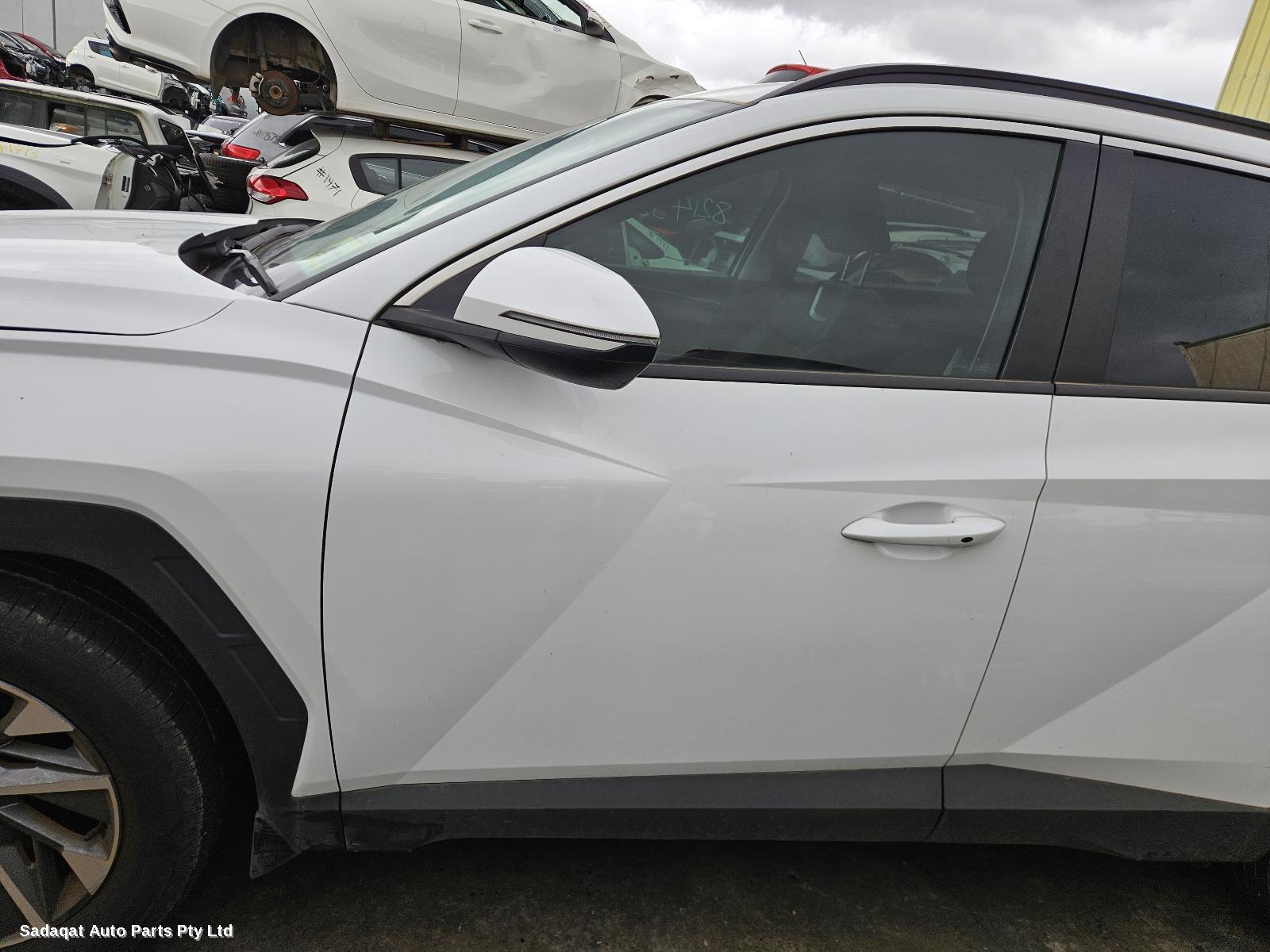 Hyundai Tucson Courtesy Light