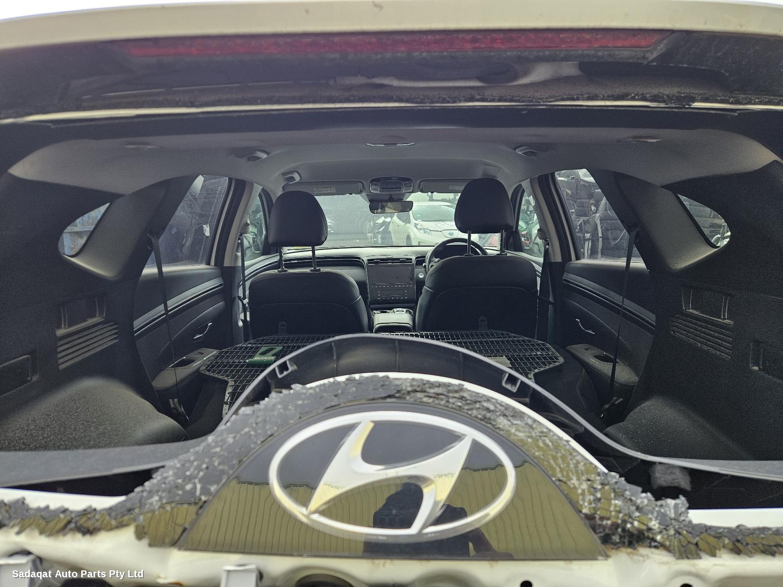 Hyundai Tucson Courtesy Light