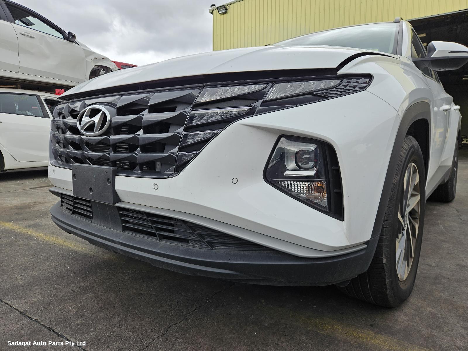 Hyundai Tucson Courtesy Light