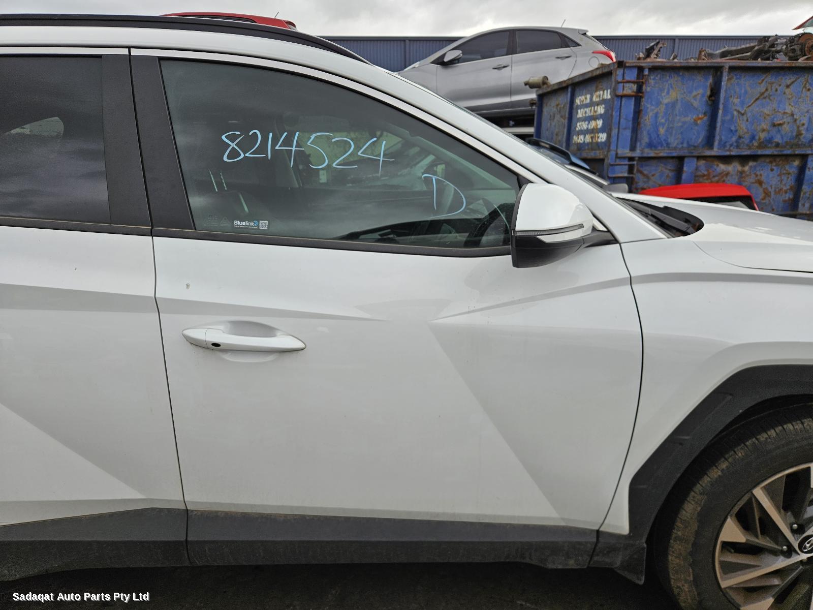 Hyundai Tucson Courtesy Light