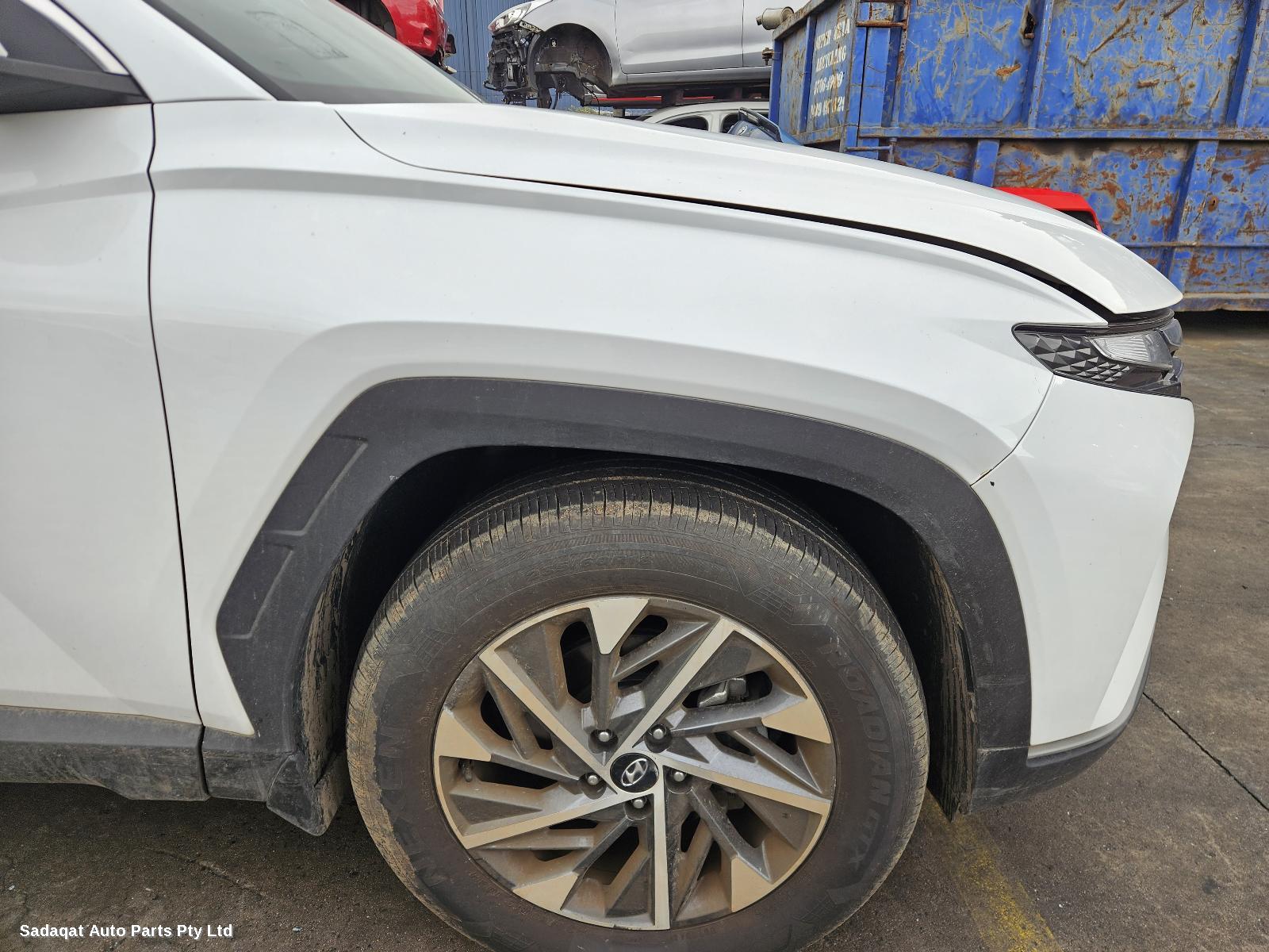 Hyundai Tucson Courtesy Light