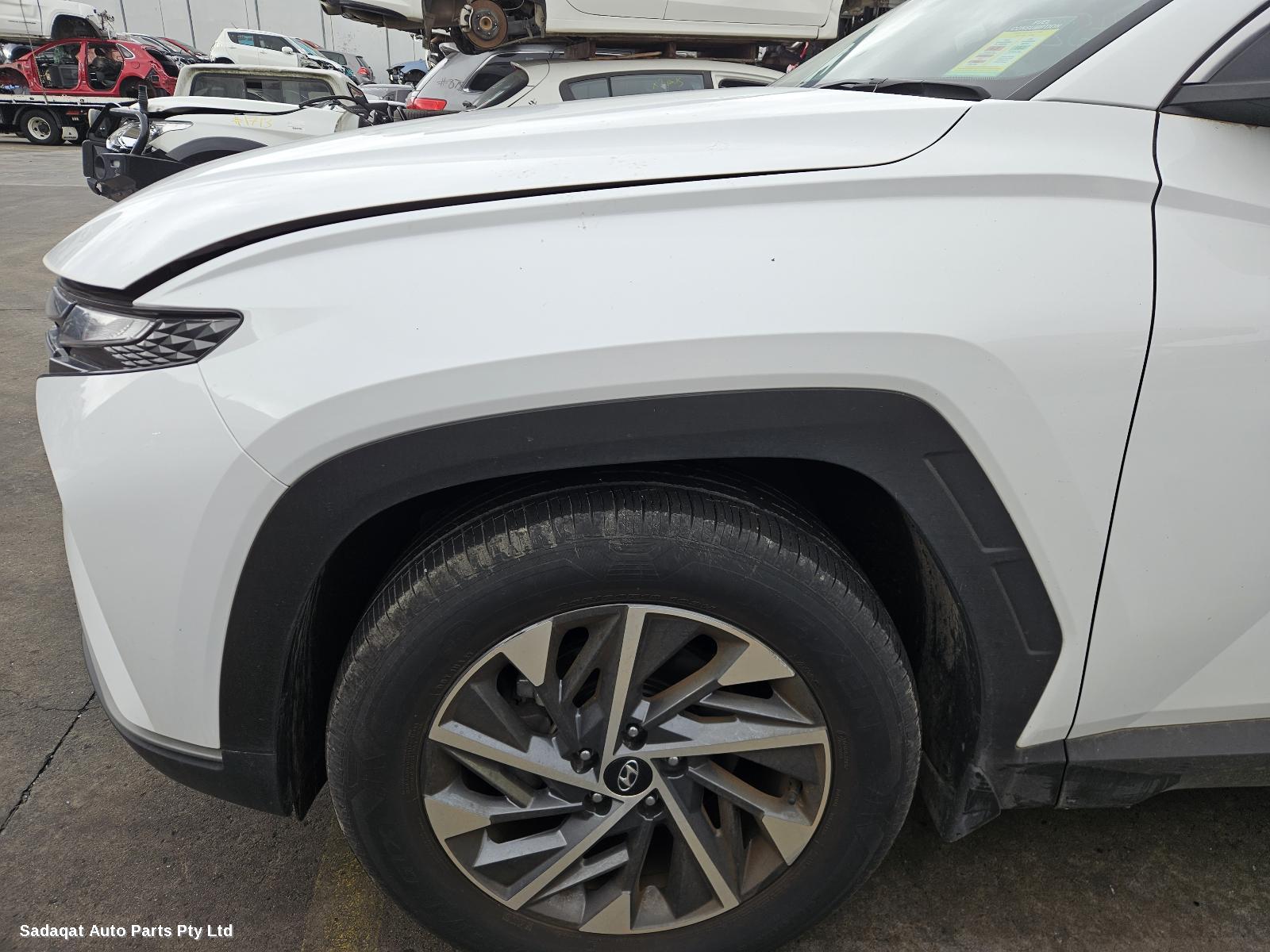 Hyundai Tucson Courtesy Light