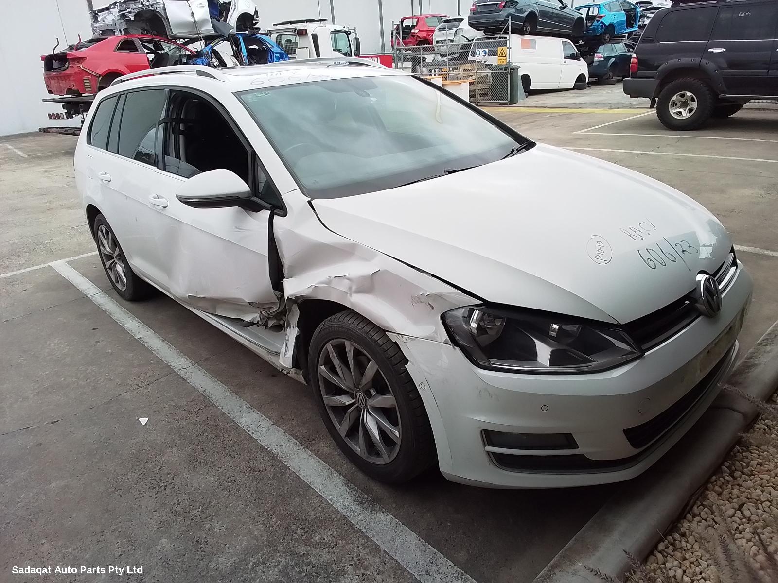 Volkswagen Golf Left Front Door