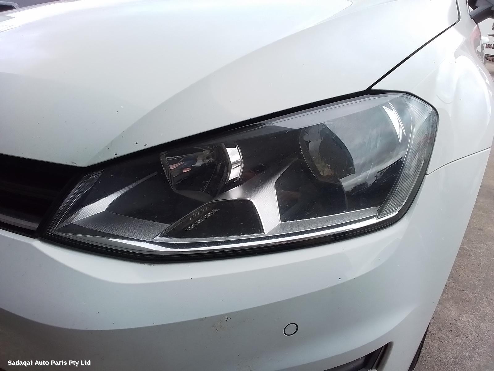 Volkswagen Golf Left Front Door