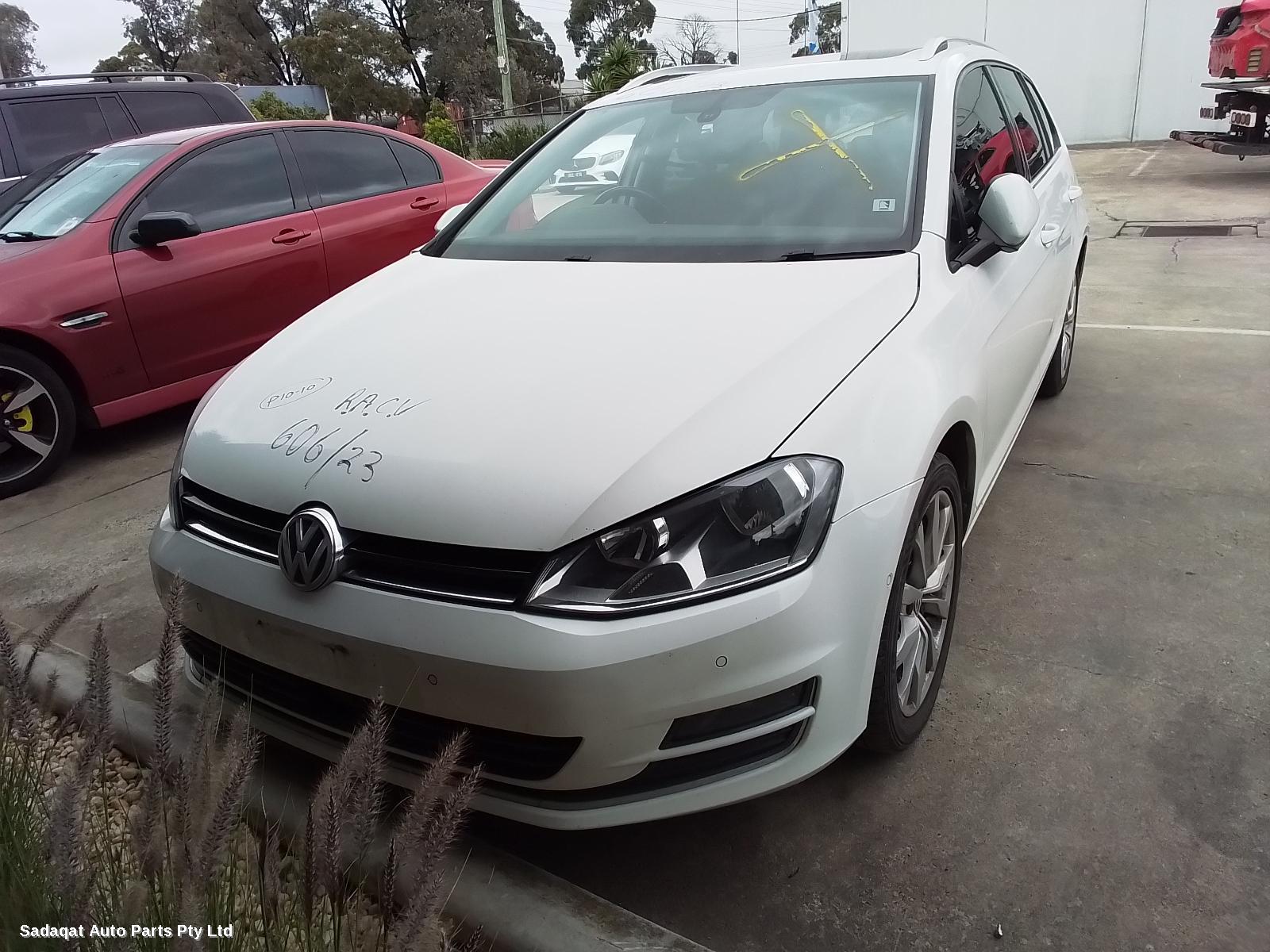 Volkswagen Golf Left Front Door