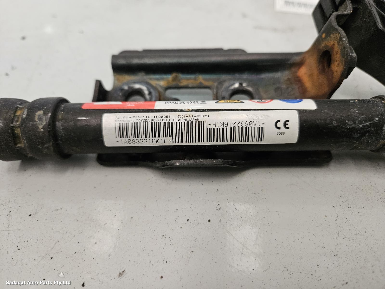 Lexus Is Series Bonnet Hinge/strut