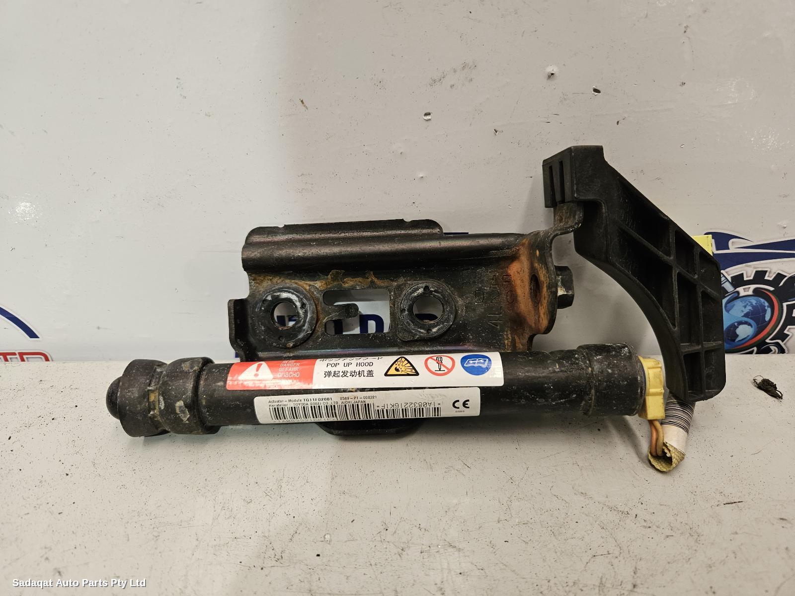 Lexus Is Series Bonnet Hinge/strut