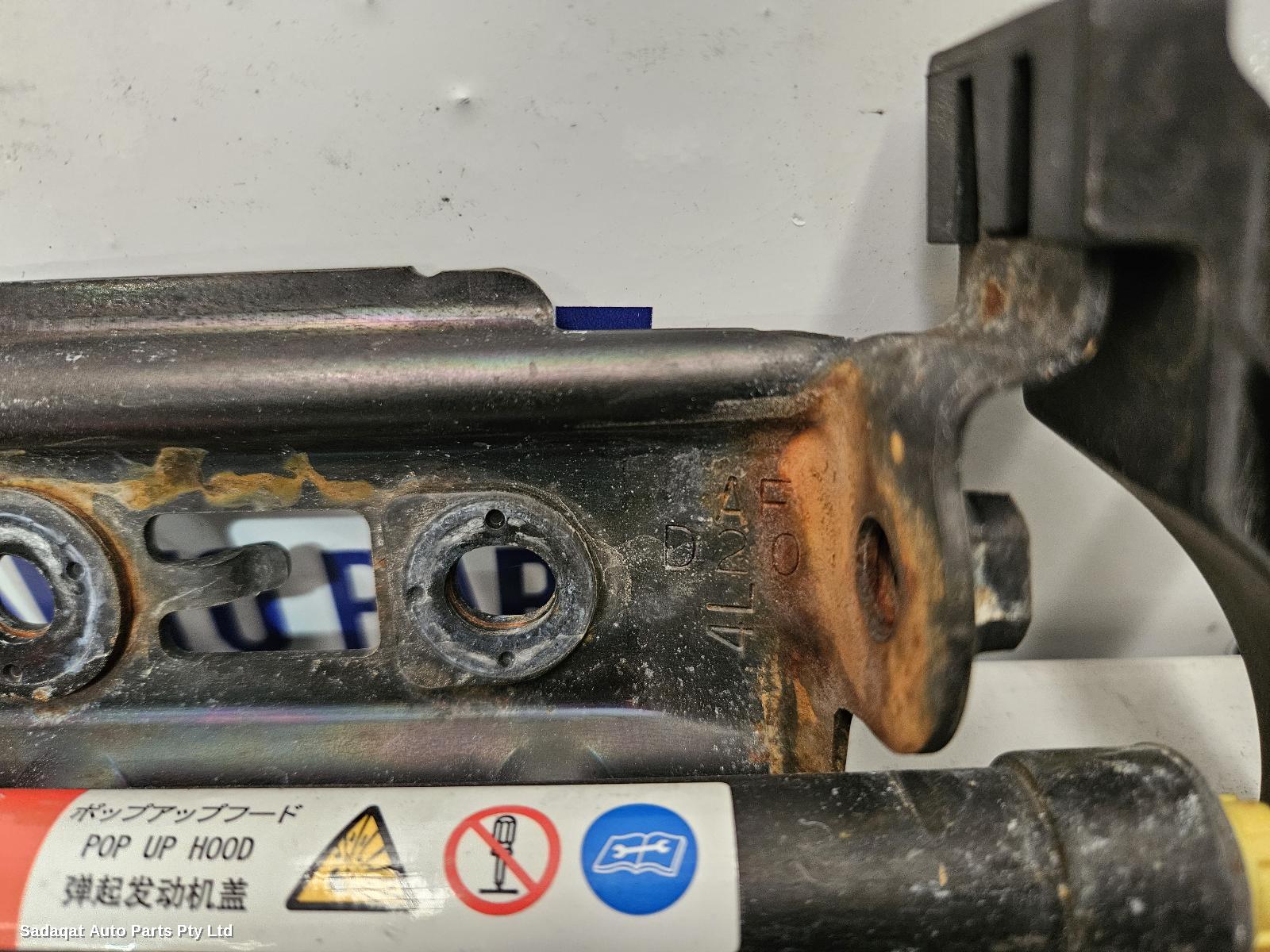 Lexus Is Series Bonnet Hinge/strut