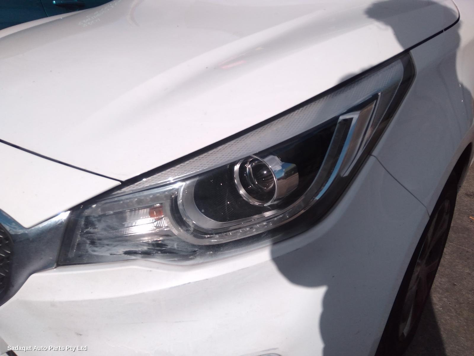 Mg Mg3 Left Front Door