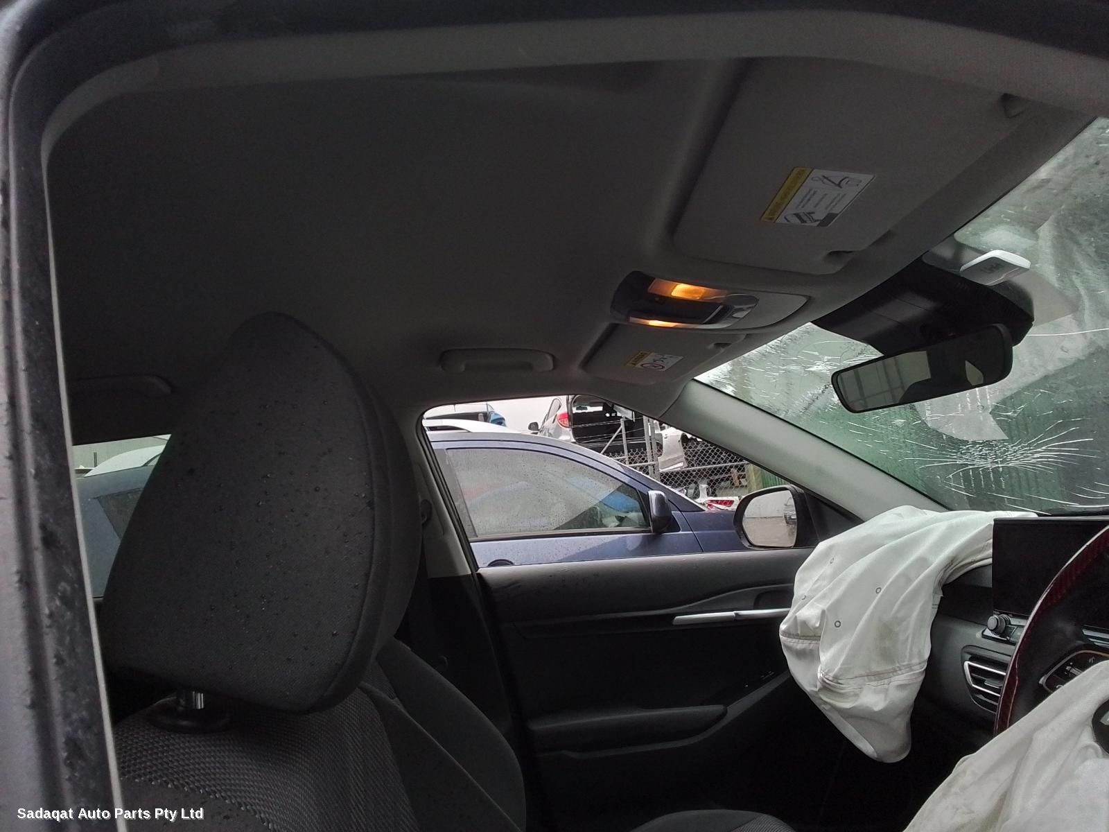 Kia Seltos Wheel Mag