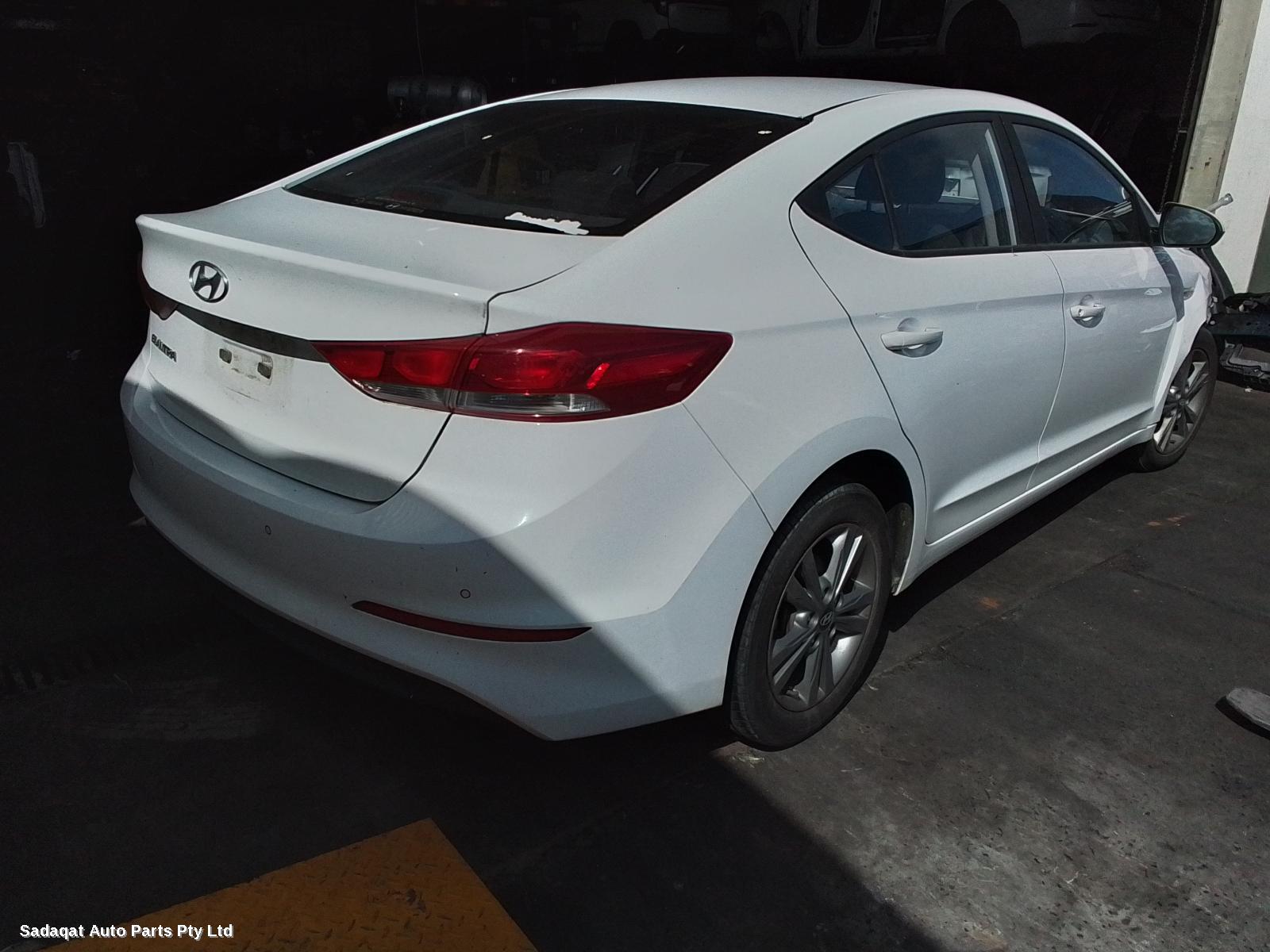 Hyundai Elantra Left Guard