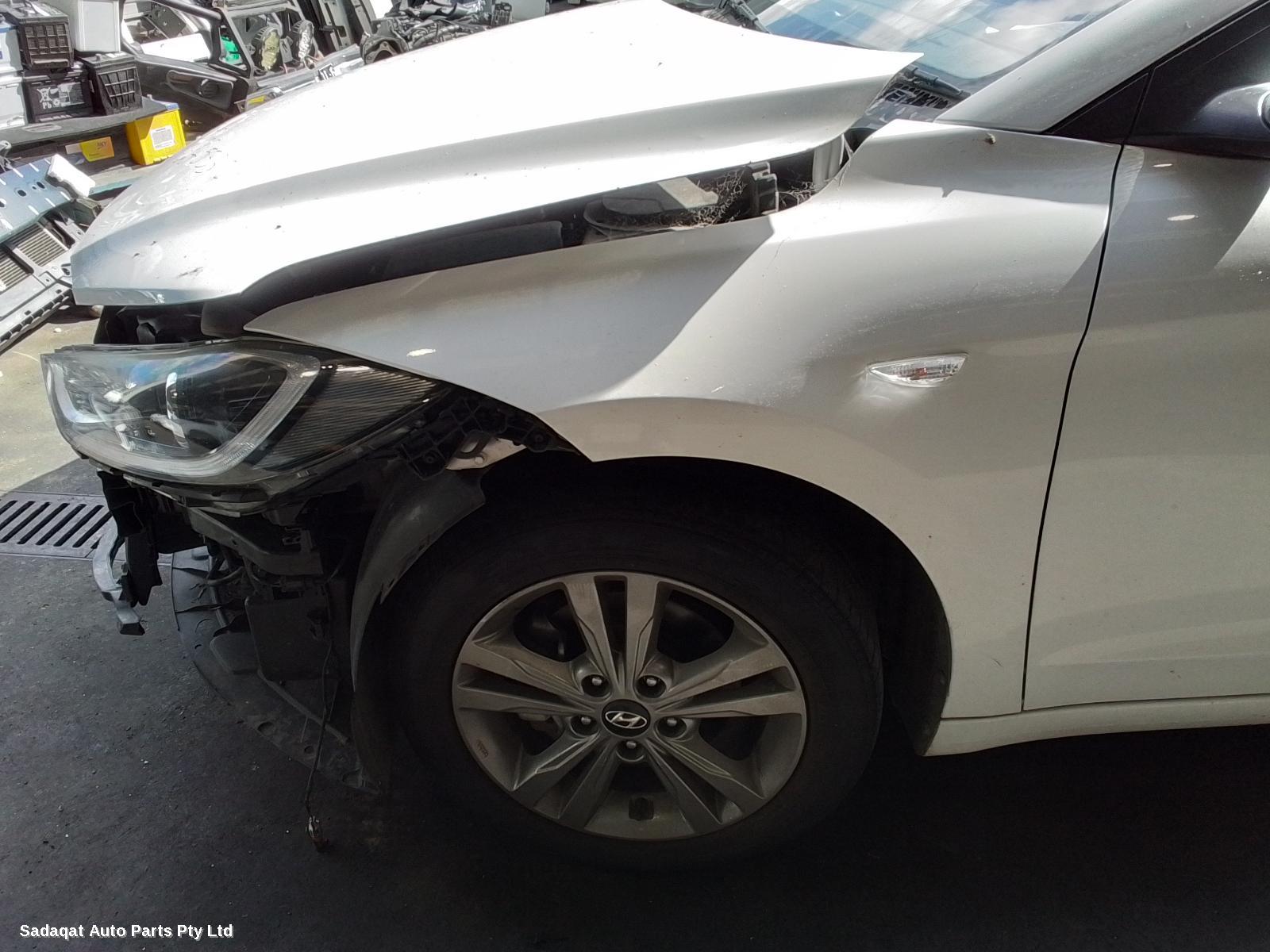 Hyundai Elantra Left Guard