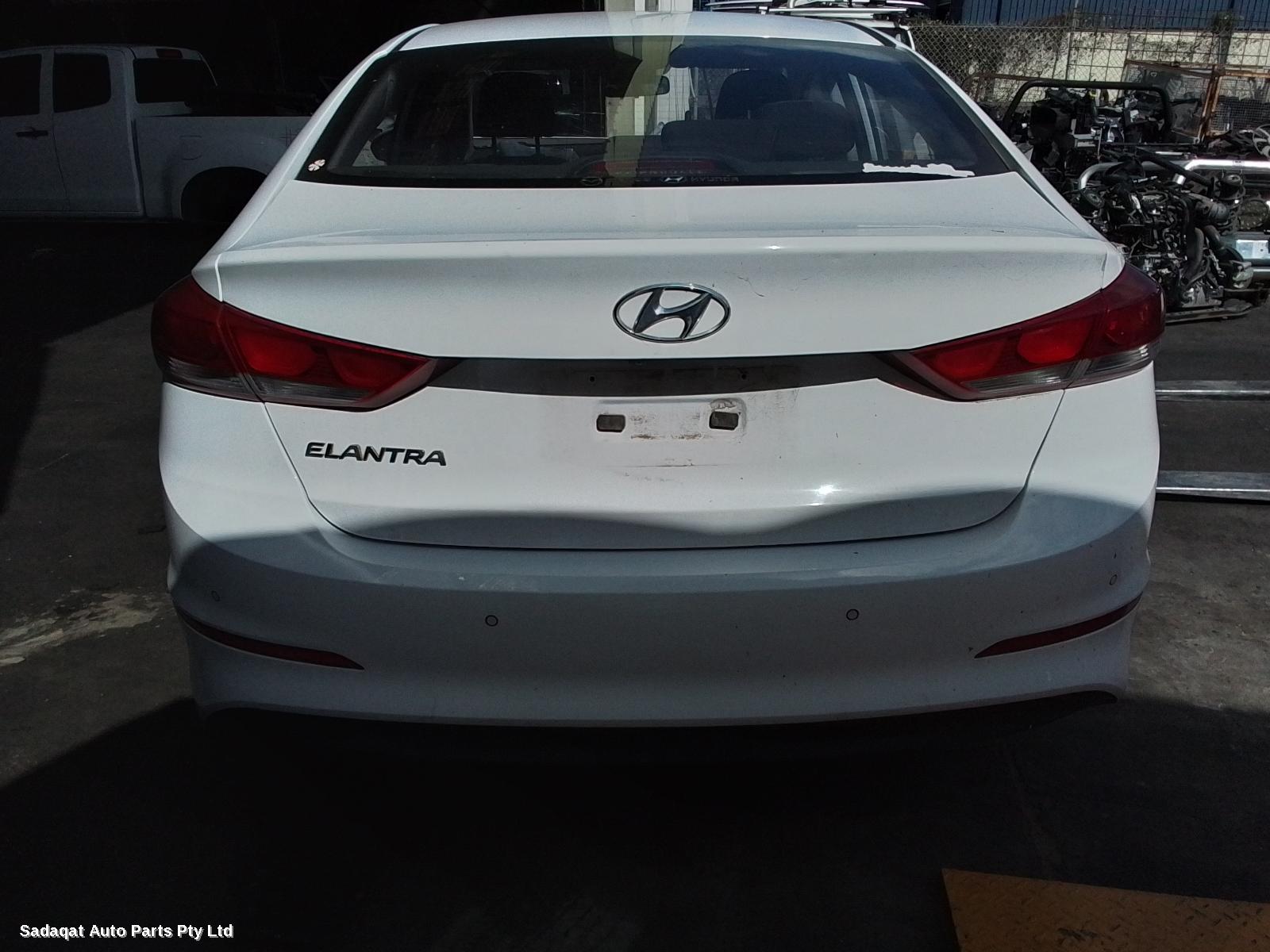 Hyundai Elantra Left Guard