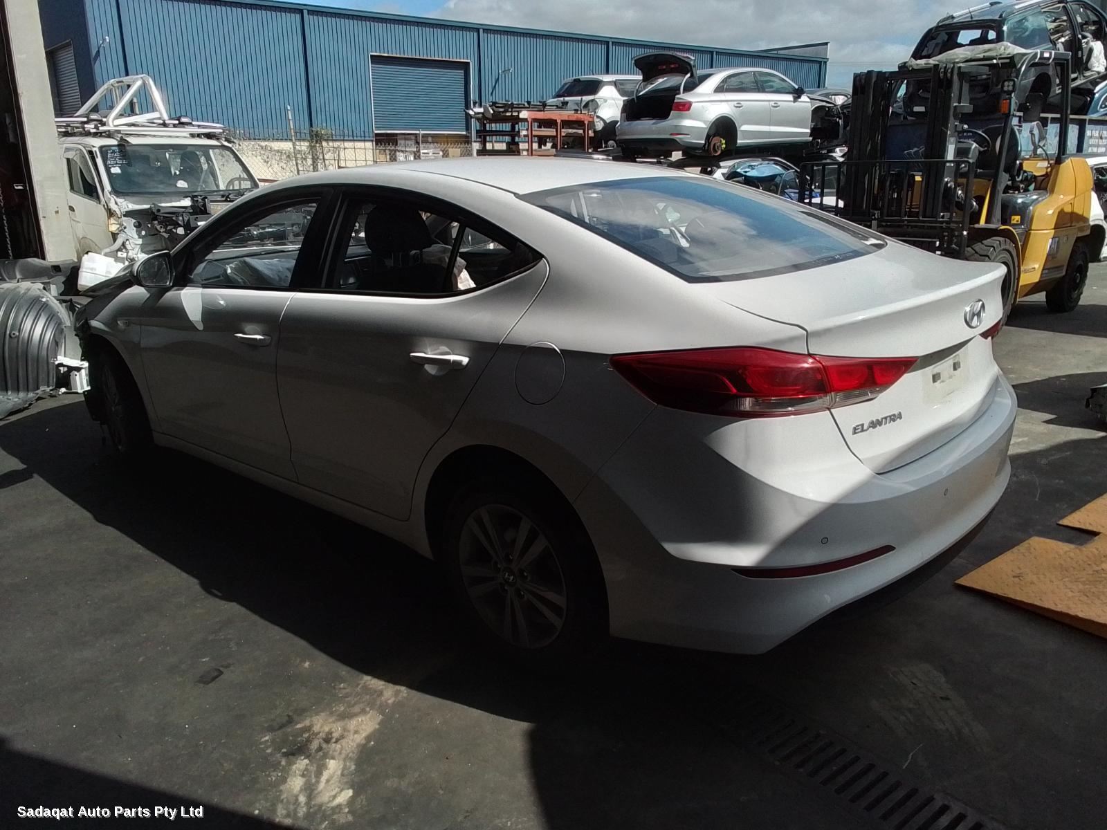 Hyundai Elantra Left Guard