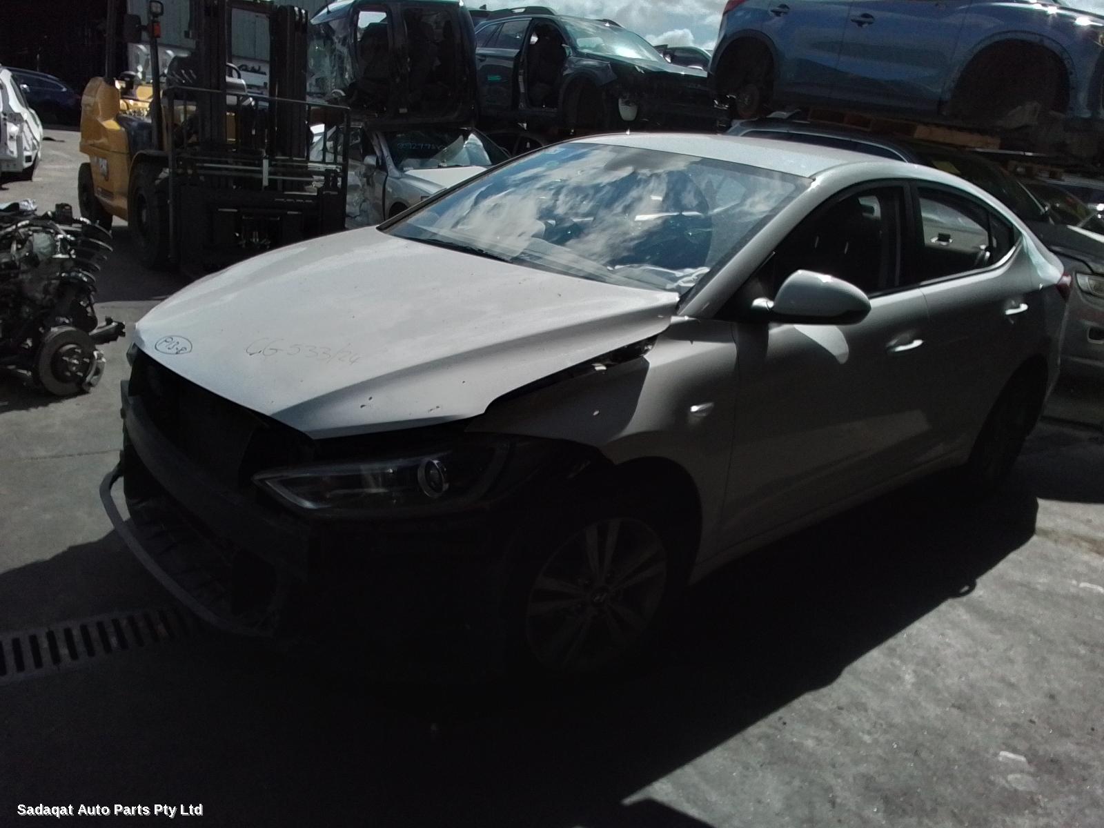 Hyundai Elantra Left Guard