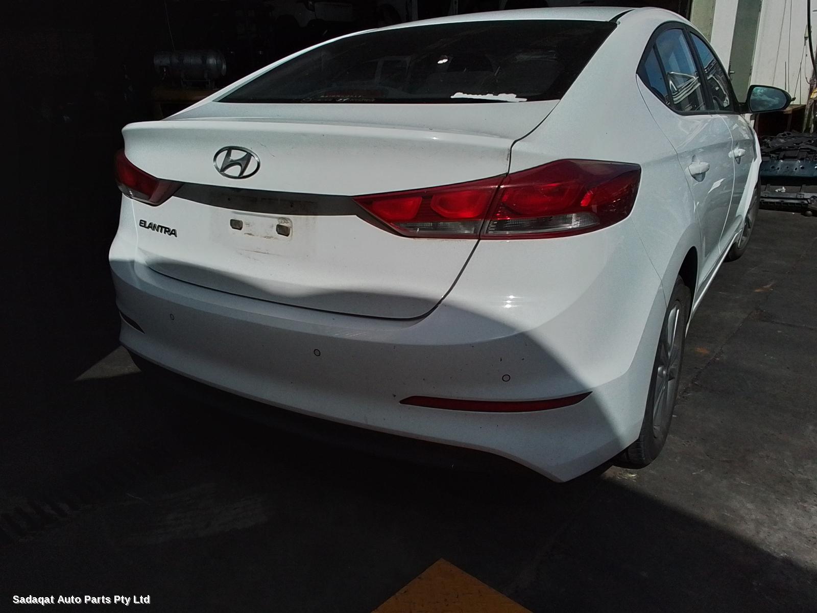 Hyundai Elantra Left Guard